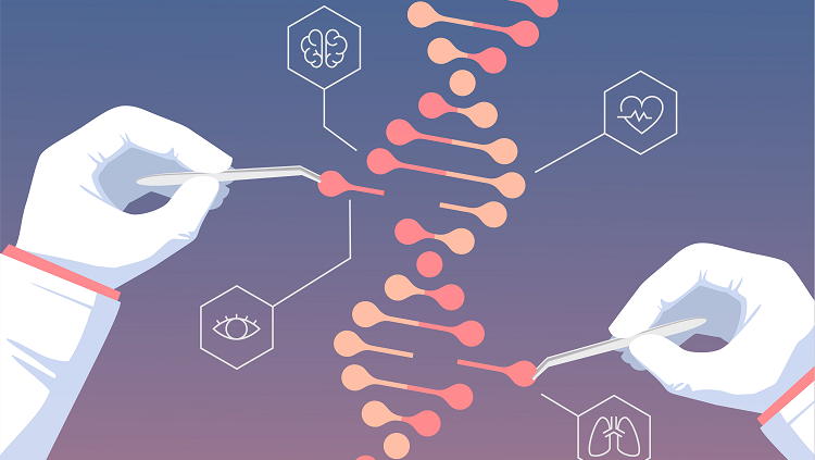 CRISPR-Cas9 Mechanism | CRISPR-Cas9 की यात्रा | एक क्रांतिकारी खोज की कहानी | जीनोम एडिटिंग.